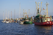 pellwormer-hafen.jpg