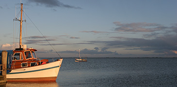 Bootsausflüge zu den Seehundsbänken oder Hallig Hooge